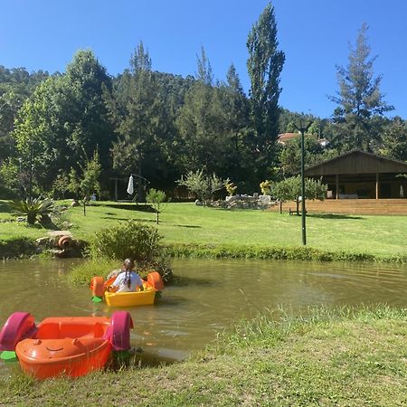 Villa Quinta Da Vinha Do Souto à Arouca Extérieur photo