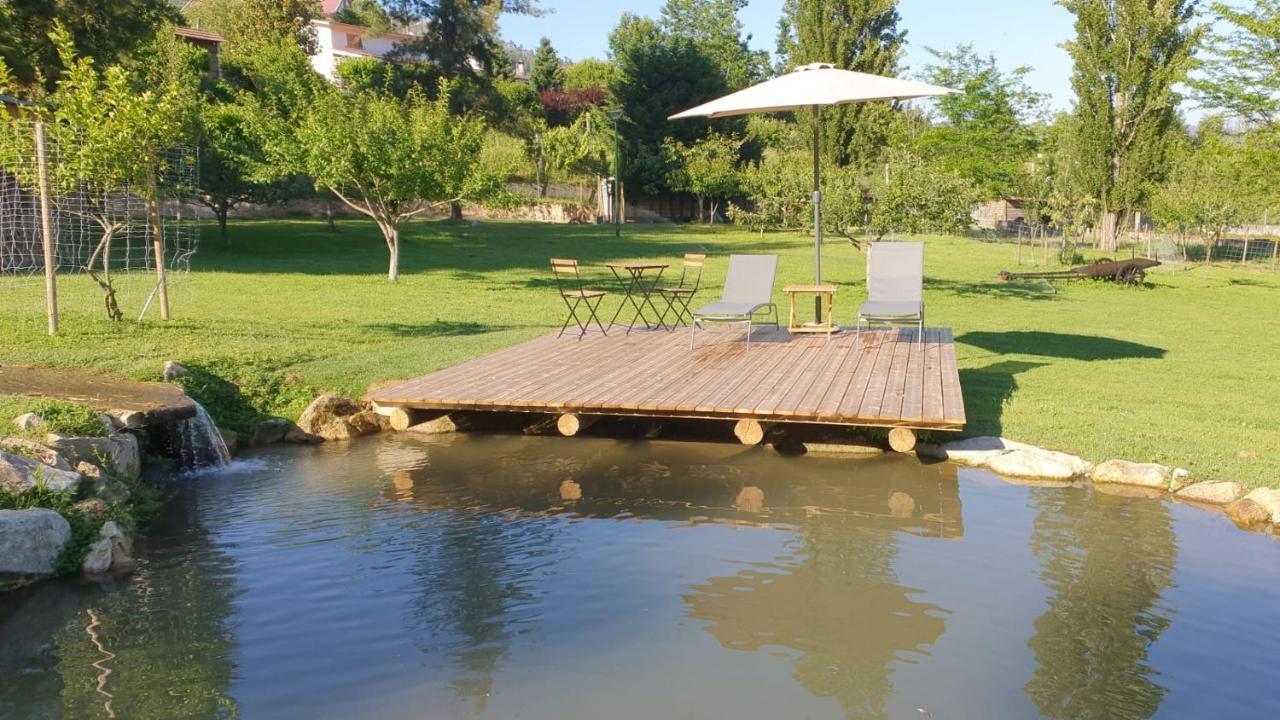 Villa Quinta Da Vinha Do Souto à Arouca Extérieur photo