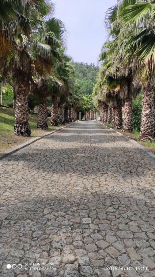 Villa Quinta Da Vinha Do Souto à Arouca Extérieur photo