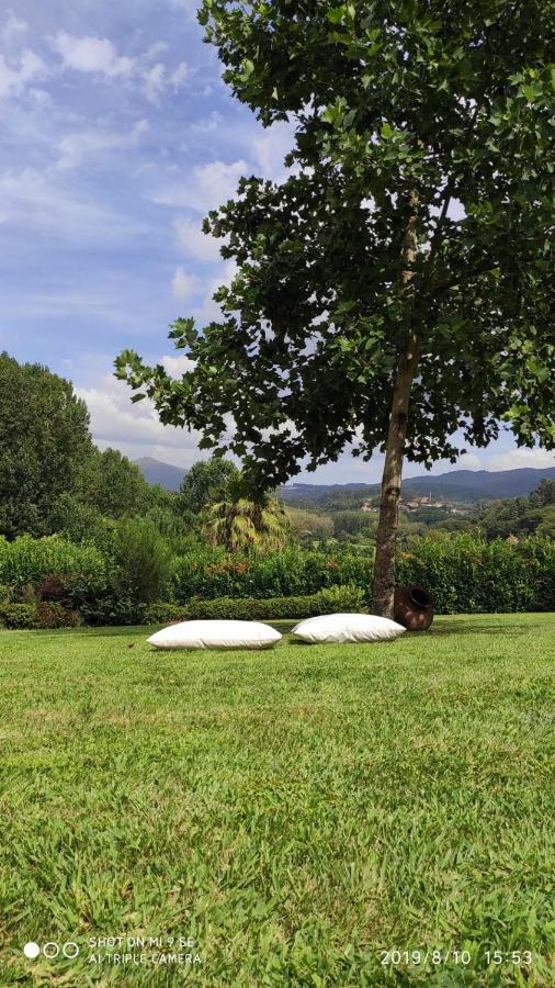 Villa Quinta Da Vinha Do Souto à Arouca Extérieur photo